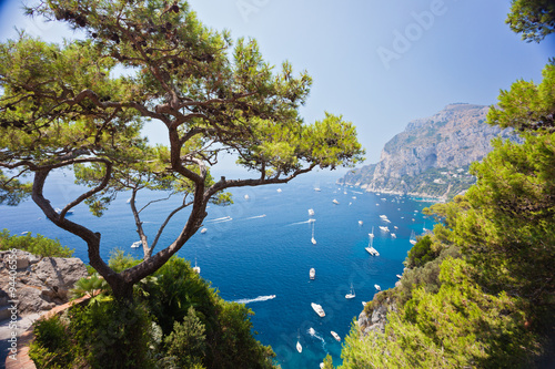 Capri harbor