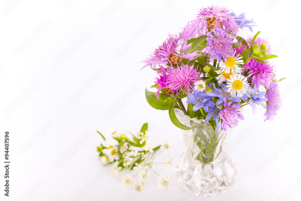 Bouquet of violet and purple meadow flowers, white background