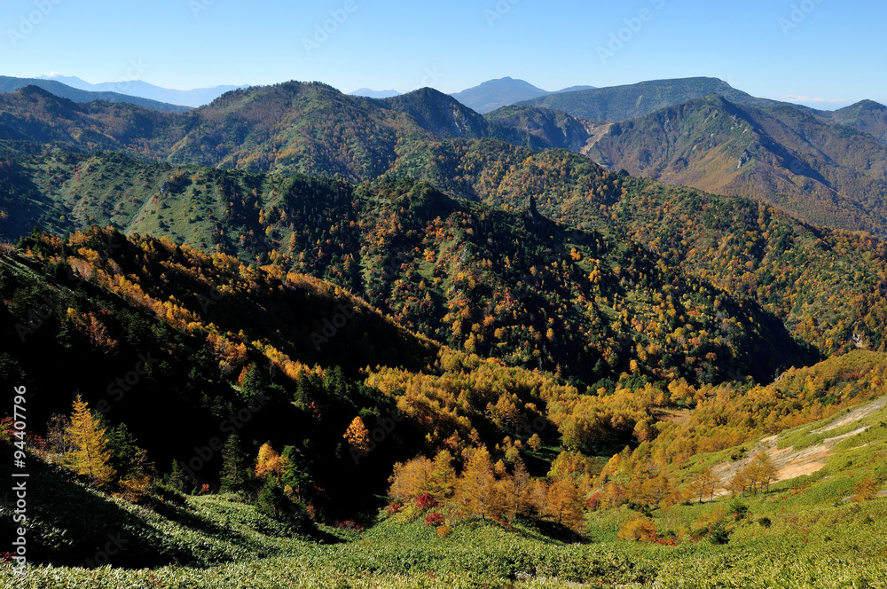 長野県　秋の志賀高原　のぞきの紅葉