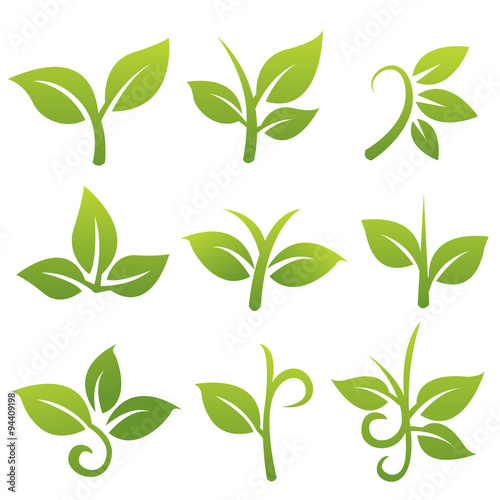 leaf vector icons