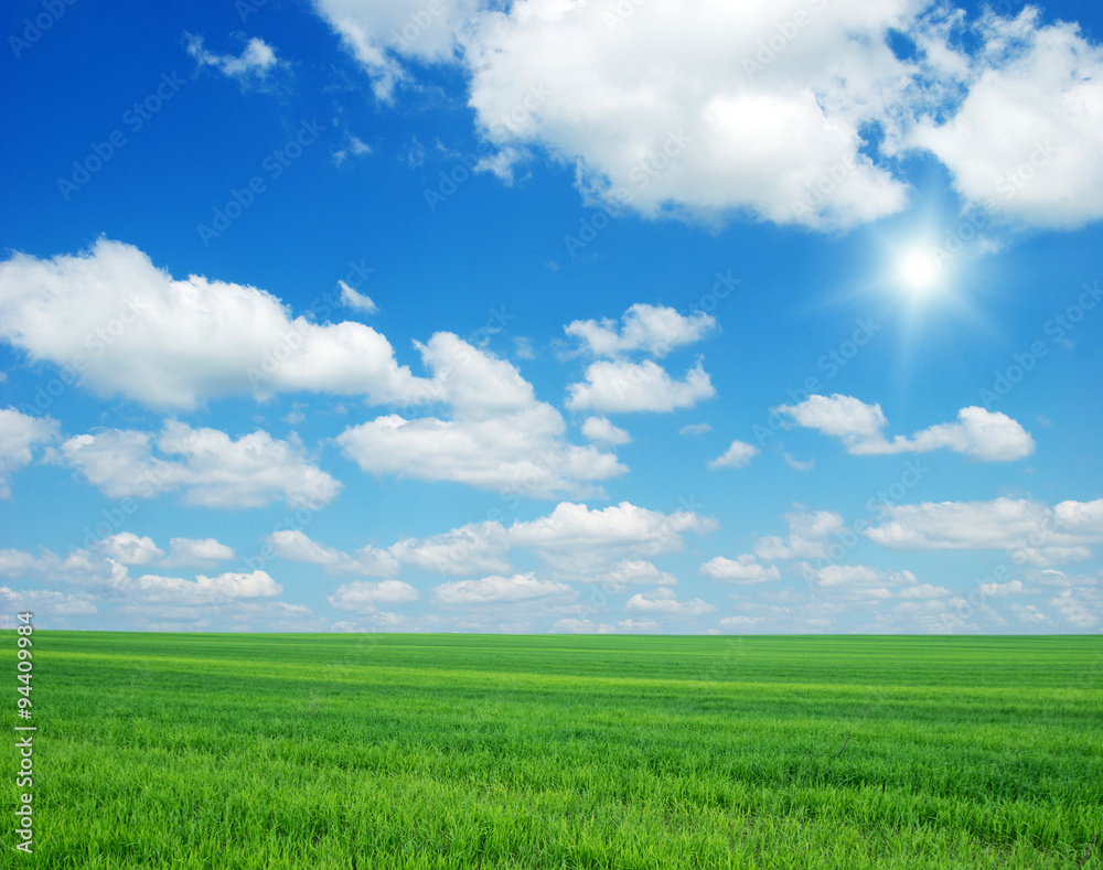 Green field, blue sky and sun