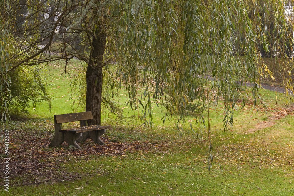Melancholy. A lonely bench sits under a willow as the autumn gloom makes it not so a welcoming place to sit. Melancholy. A lonely bench sits under a willow as the autumn gloom makes it not so a welcoming place to sit.