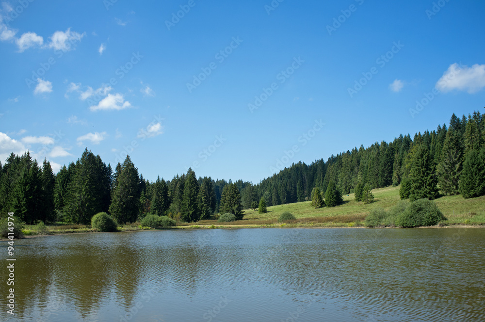 Fototapeta premium Beautiful pond surrounded by trees and forest