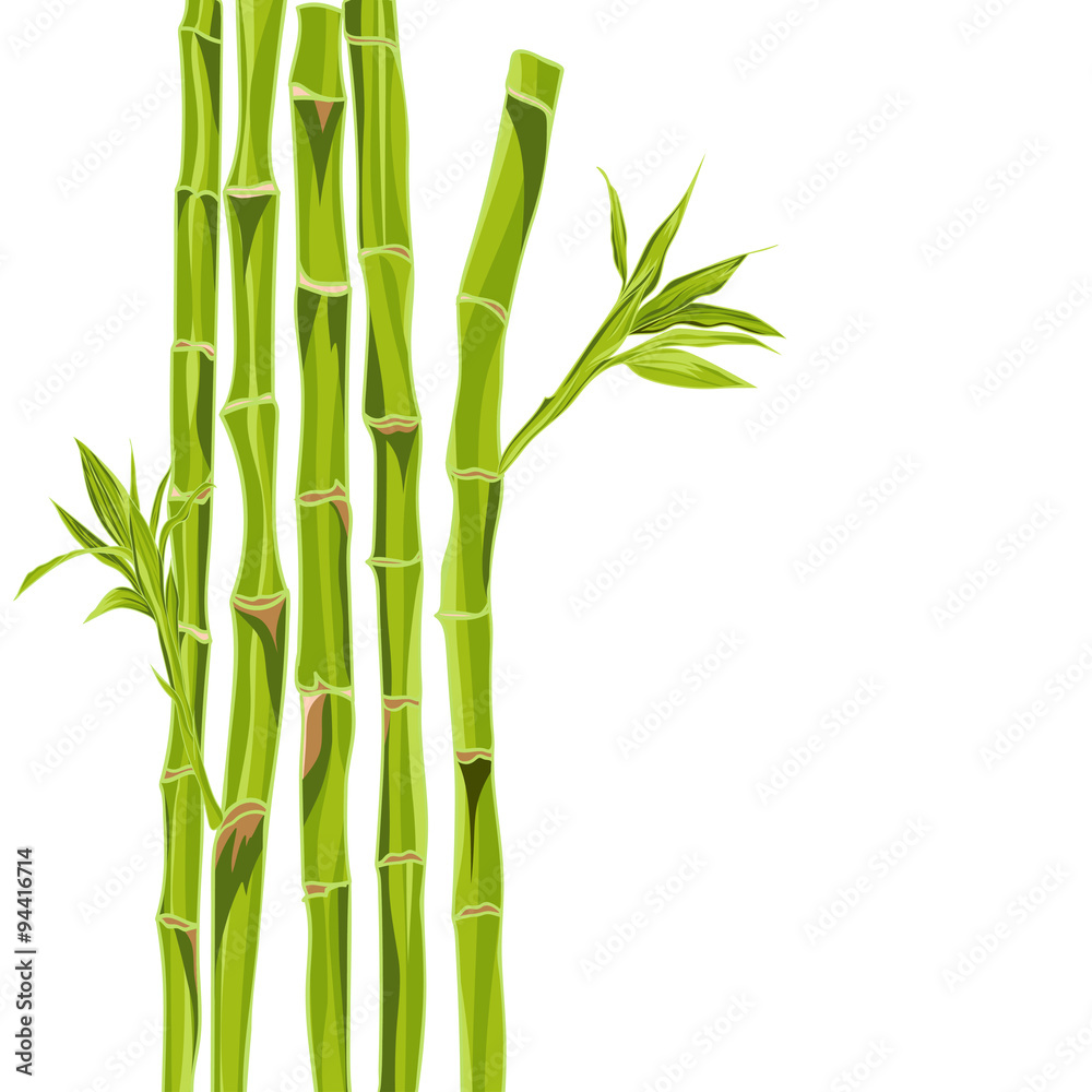 Obraz premium Hand-drawn green bamboo bacground with space for text