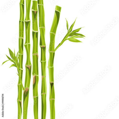 Fototapeta Naklejka Na Ścianę i Meble -  Hand-drawn green bamboo bacground with space for text