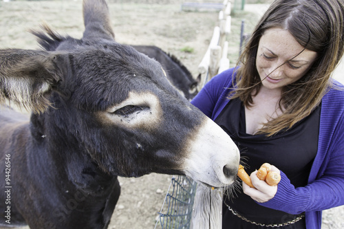 Woman giving eat donkey