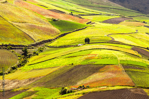 An aerial view of rolling terraced patchwork farmland in varying shades of green, brown and yellow separated by narrow paths in the Andes of Ecuador, a scenic tranquil agricultural landscape.