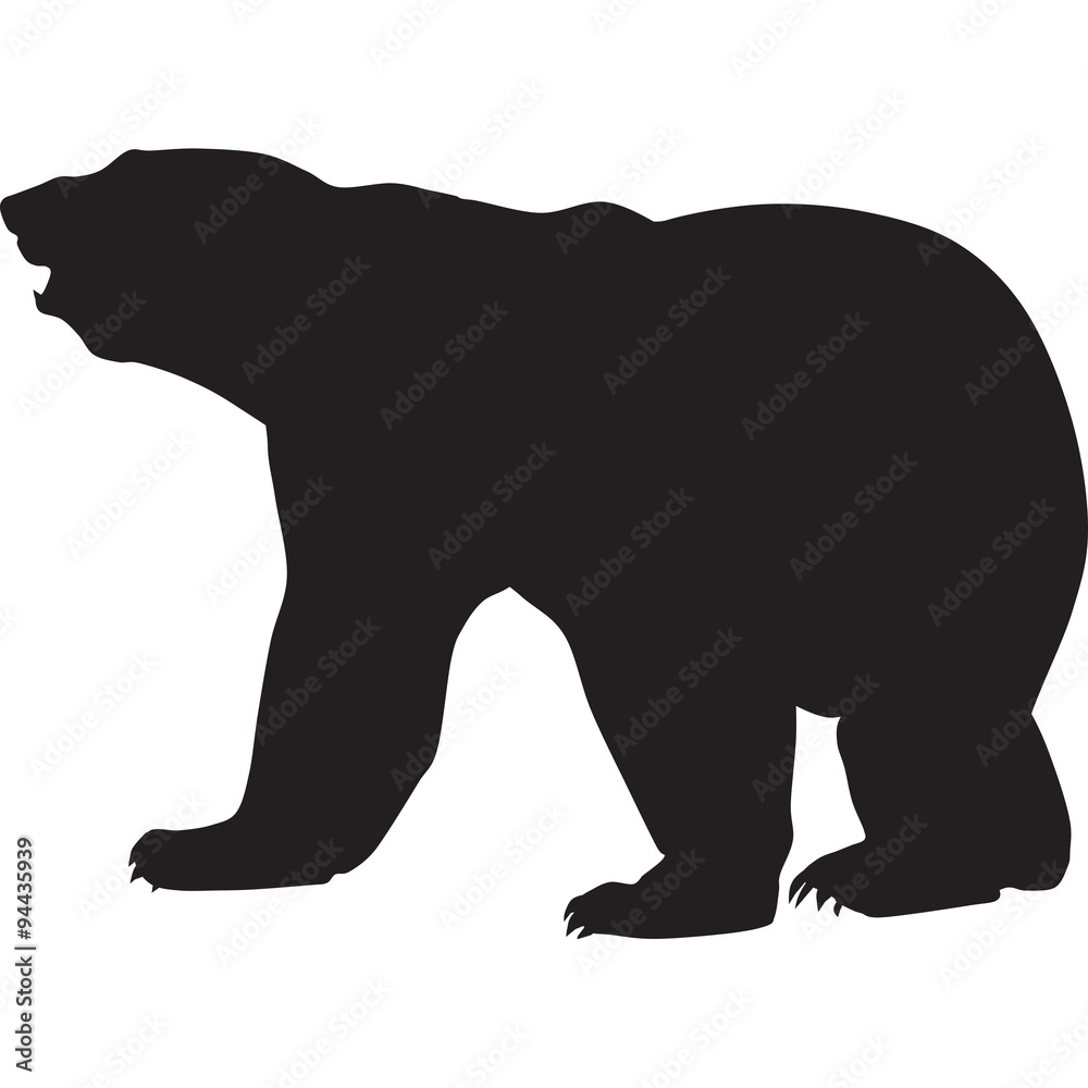 silhouette of a white bear-vector