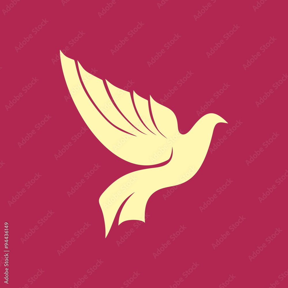 Obraz premium Dove, Holy spirit