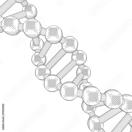 Sketch the structure of DNA © newrossosh
