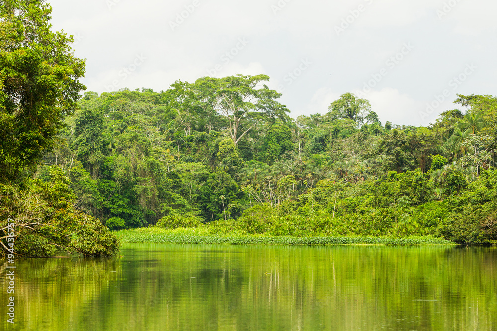Obraz premium Limoncocha Lagoon surrounded by lush and diverse jungle vegetation epitomizes the rich biodiversity and ecological significance of the Amazon Rainforest