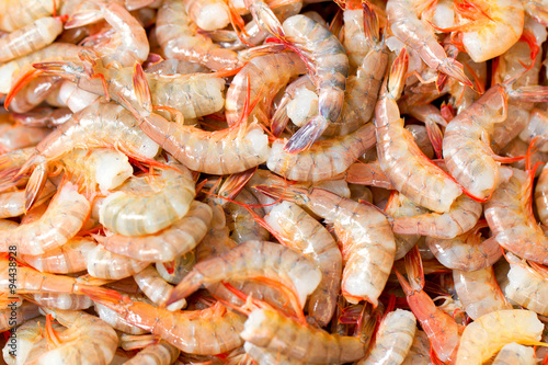 Fresh,succulent shrimp available for purchase,sourced directly from the ocean,ensuring the highest quality and taste.