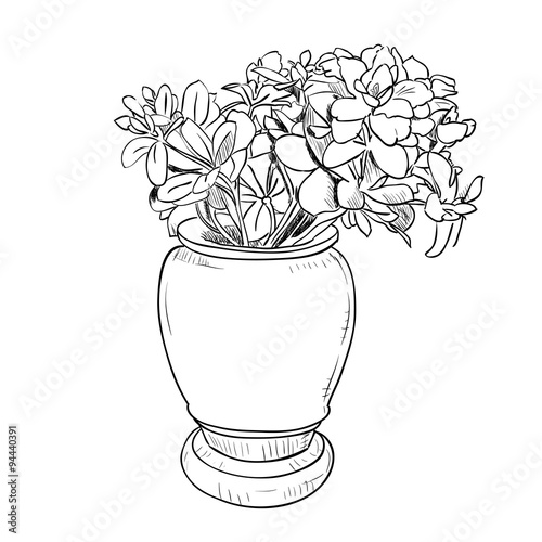 Vector drawing sketch of vase with flowers