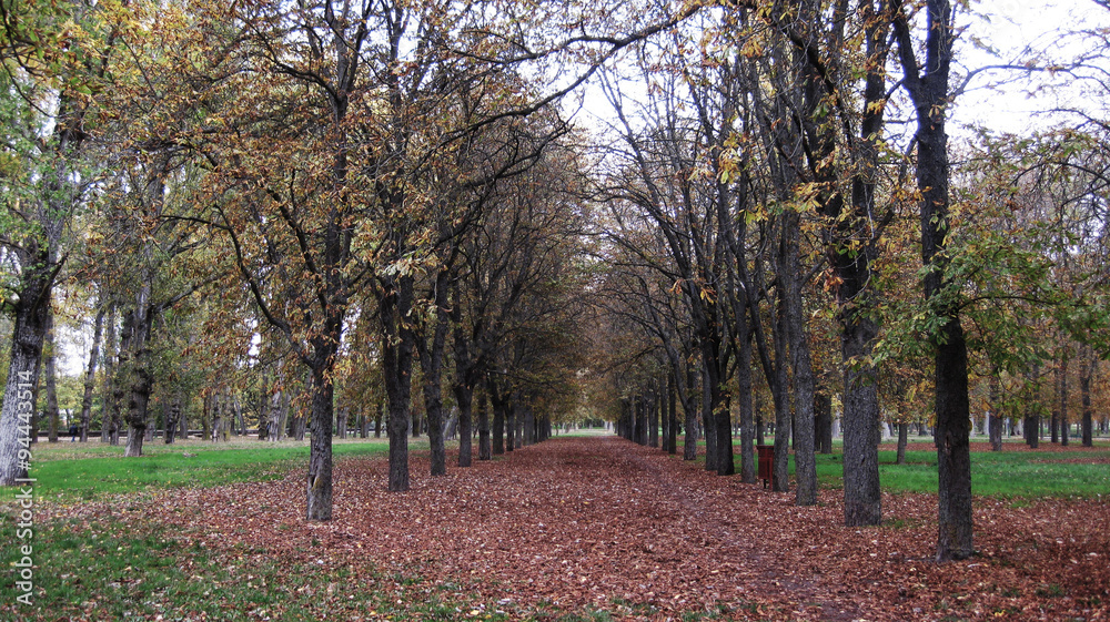 Otoño Otoño