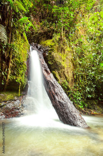 Fototapeta Naklejka Na Ścianę i Meble -  Discover the enchanting beauty of a small waterfall nestled within the breathtaking Mindo complex in Ecuador.