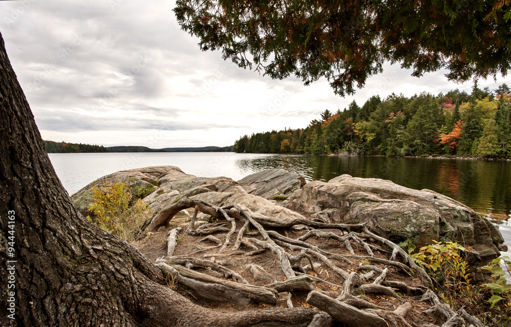 Algonquin Park Muskoka Ontario Lake Wilderness