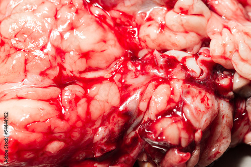 Experience a vivid and realistic portrayal of blood filled cattle organs in a slaughterhouse setting,perfect for those seeking an immersive and educational experience.