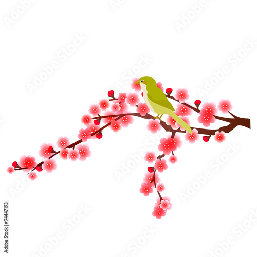 梅　花　アイコン