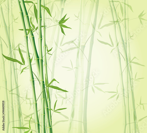 bamboo forest background © Sergii Mostovyi