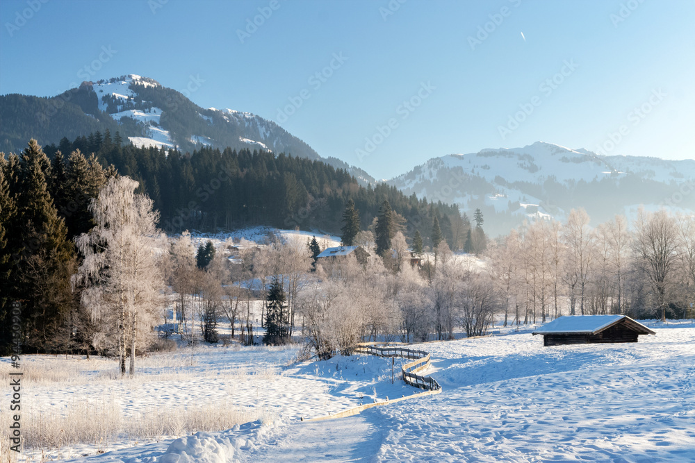 winter winter