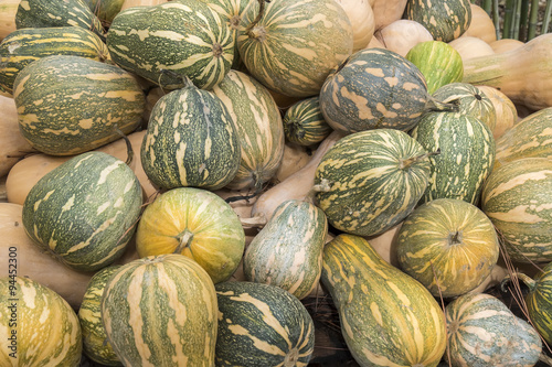 Pumpkins, Cucurbita argyrosperma, moschata, Butternut, maxima, c