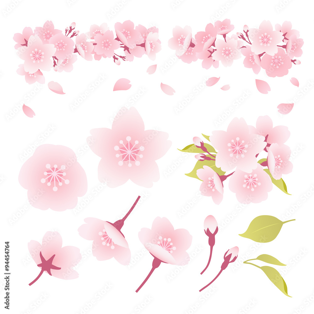 Naklejka premium 桜 イラスト 