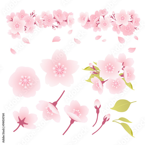  桜　イラスト 