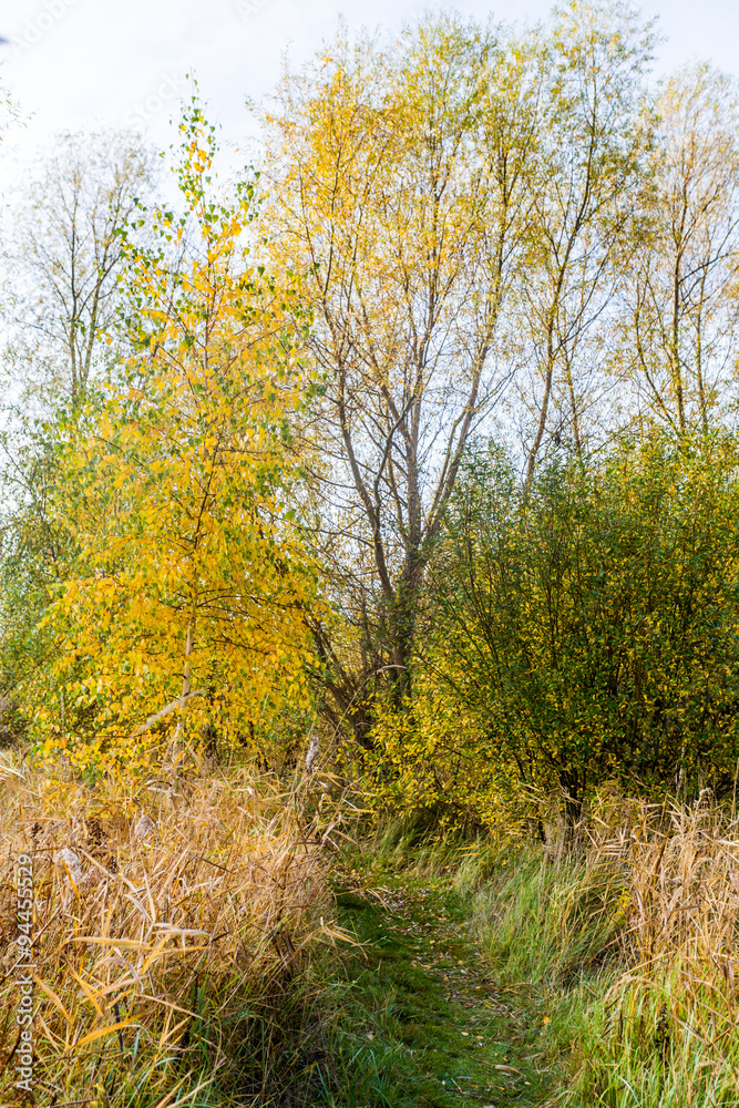 Fototapeta premium rostocker park