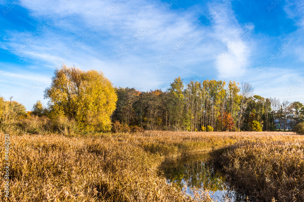 Herbst in rostock