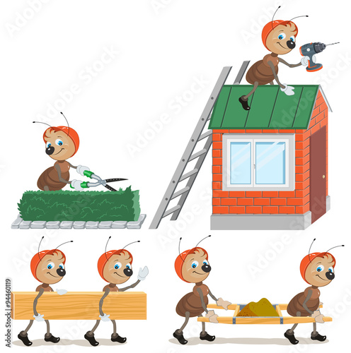Set Ant worker
