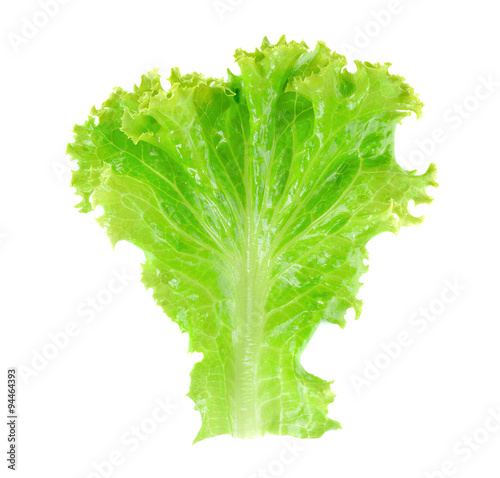 Fresh green lettuce isolated on white.