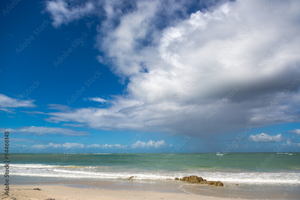 Beach in the famous Garden Route, South Africa, Africa