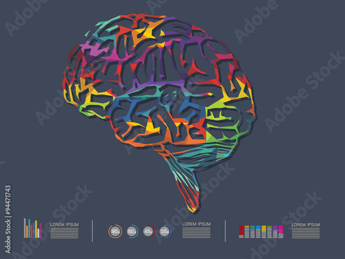 vector illustration of colourful brain
