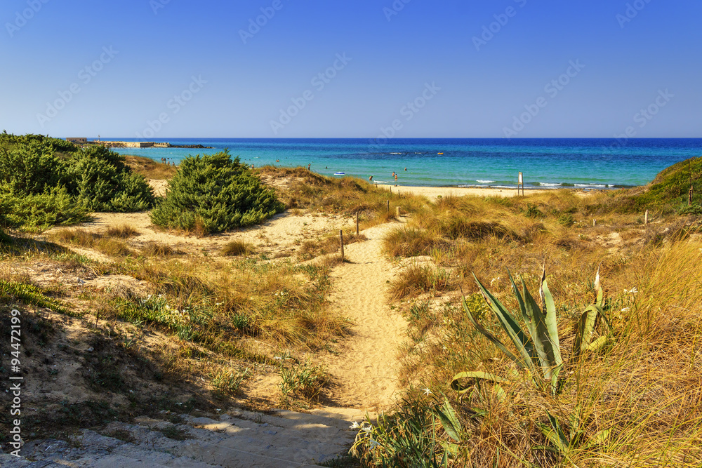 Summer landscape: a nature reserve of Torre Guaceto.BRINDISI (Apulia)-ITALY-Mediterranean maquis: a nature sanctuary between the land and the sea. Summer landscape: a nature reserve of Torre Guaceto.BRINDISI (Apulia)-ITALY-Mediterranean maquis: a nature sanctuary between the land and the sea.