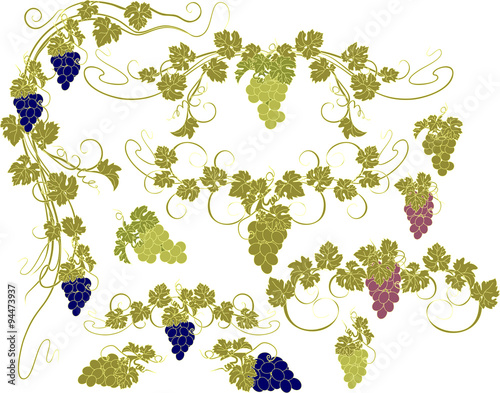 Design elements with bunches of grapes and vines in vintage style.