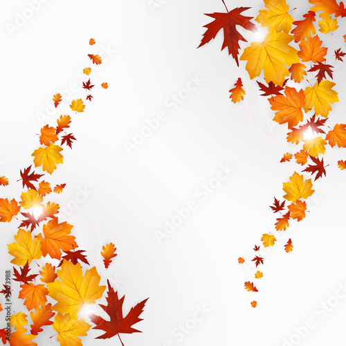 Autumn leaves background design  vector