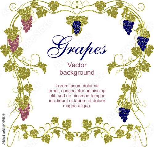 Design elements with bunches of grapes and vines in vintage style.