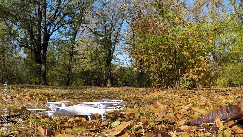 Quadrocopter drone takes off from the leafs in forest. Quadrocopter drone takes off from the leafs in forest.