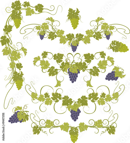 Design elements with bunches of grapes and vines in vintage style.