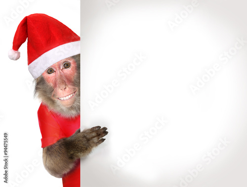 Canvas Print Funny monkey Santa Claus holding blank Christmas banner