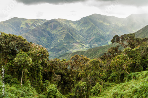 Cloud forest in National Park Podocarpus in southern Ecuador photo