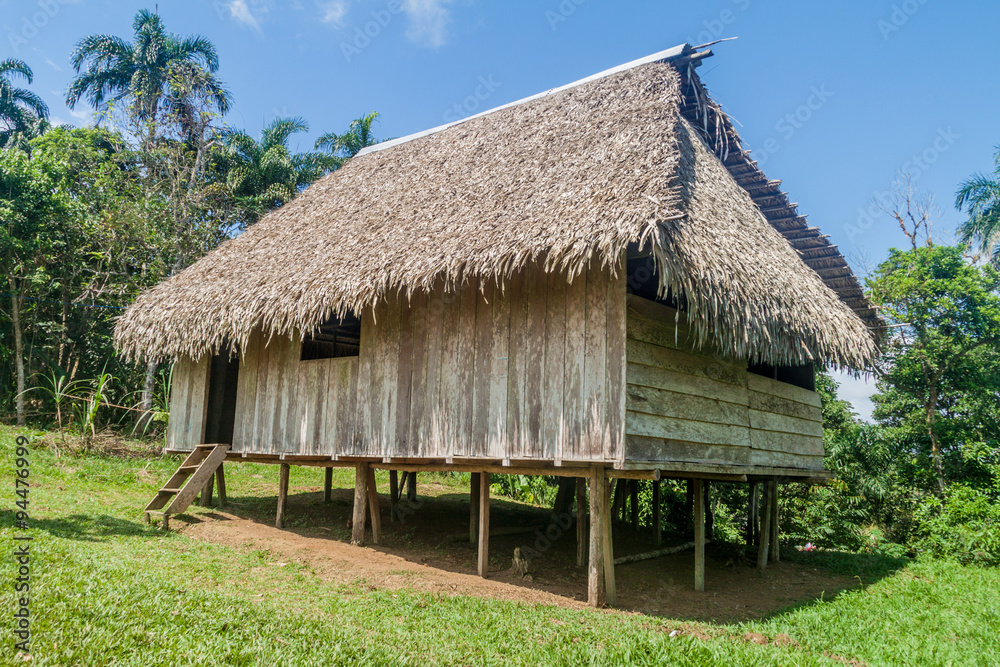 Traditional house in village Pantoja in Loreto region of Peru