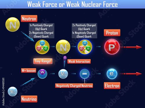 Weak Force or Weak Nuclear Force