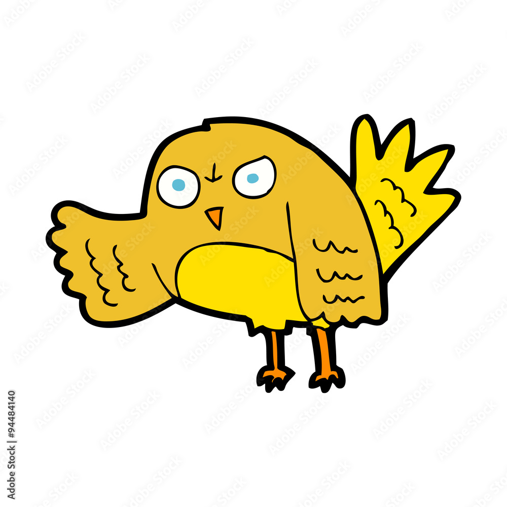 Fototapeta premium angry cartoon bird