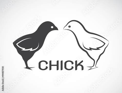 Vector image of an chick design on white background Fototapet