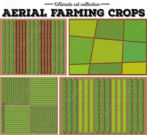 Aerial farming crops pattern