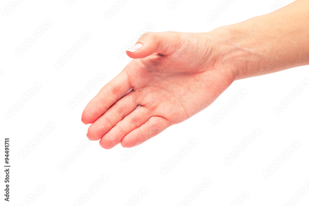 hands isolated