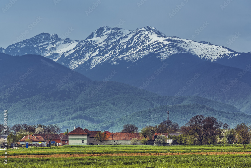 Obraz premium Peaceful rural scenery with traditional Romanian village at the base of snowy Fagaras mountains during spring season.