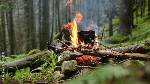 Cooking food on a campfire in forest. The small pot on the bonfire in the rainy coniferous forest. Green background.