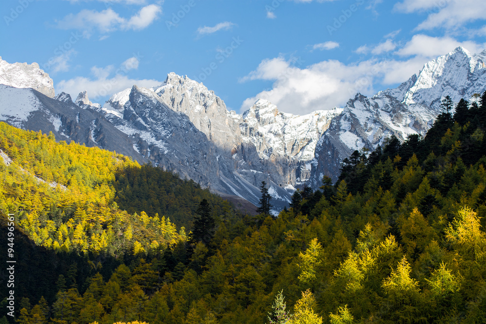 Mountain with snow and pine forest in autumn, taken in the eveni